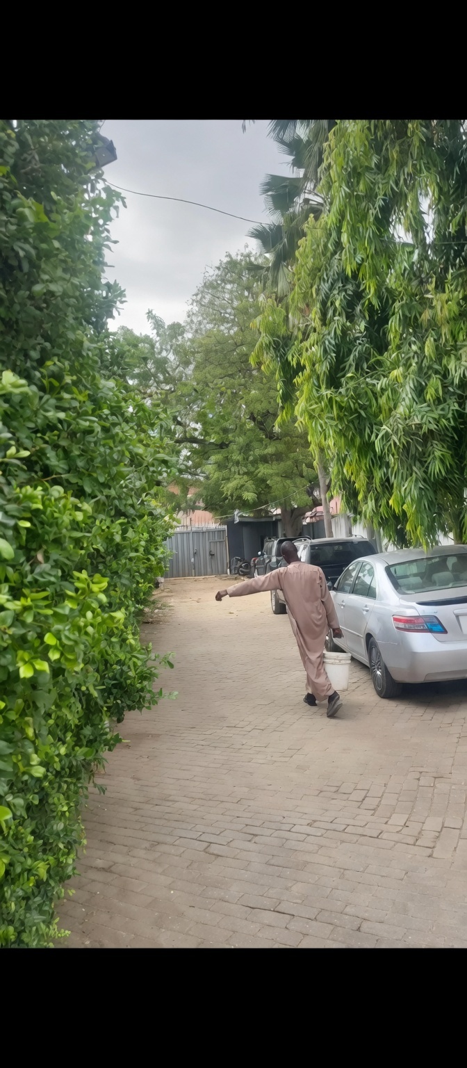 inbound1737748972279061003