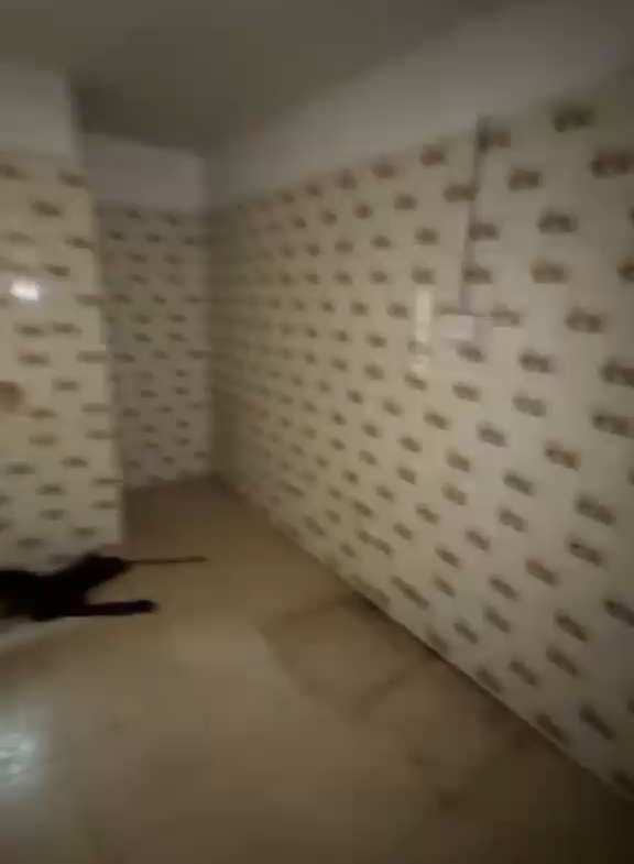 Neatly Used MINIFLAT for rent in Ilupeju