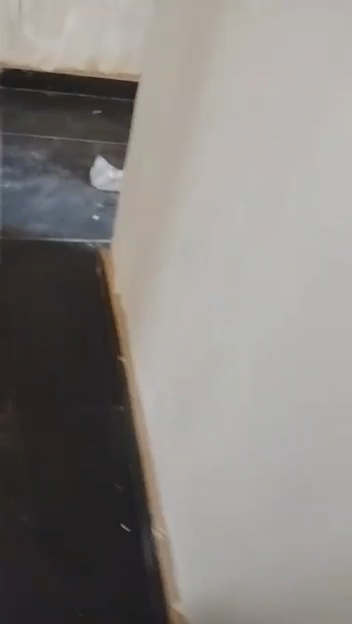 Decent newly built mini flat
