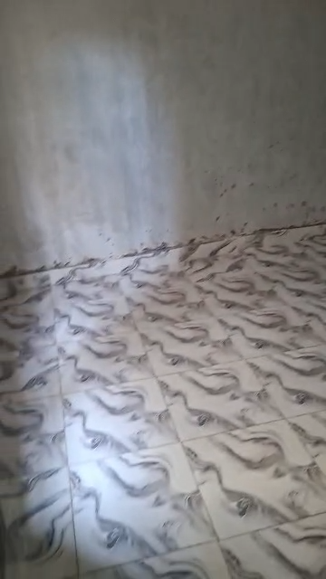 Spacious Mini flat ground floor for rent