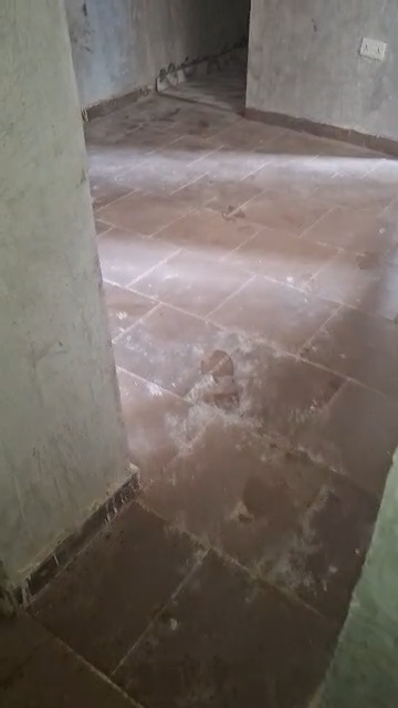 Spacious Mini flat ground floor for rent
