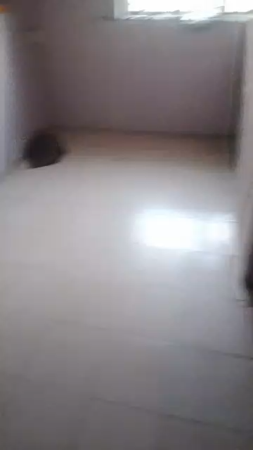 A Very Decent & Spacious Roomself currently available for rent