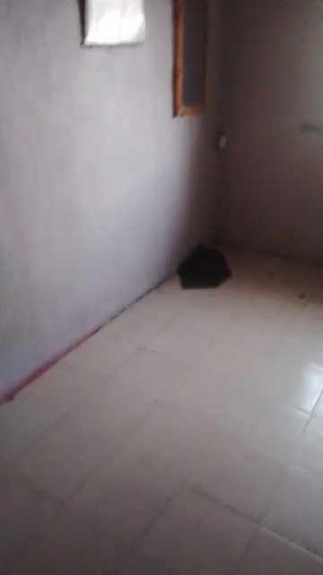 A Very Decent & Spacious Roomself currently available for rent