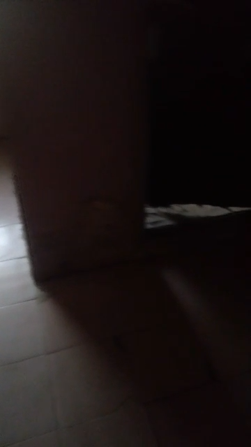 A Very Decent & Spacious Roomself currently available for rent