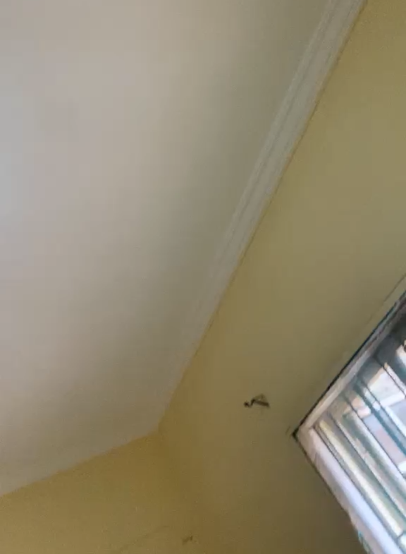 2 BEDROOM FLAT WITH POP for rent @ ADOFF