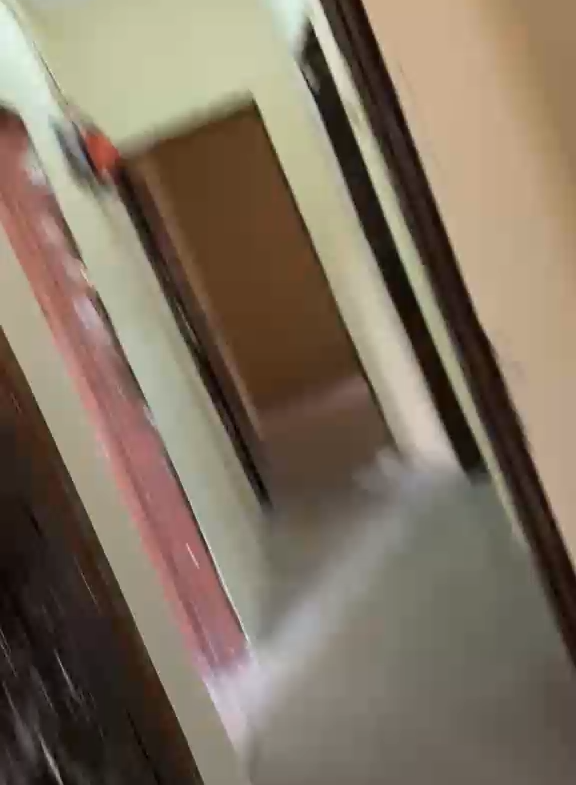 2 BEDROOM FLAT WITH POP for rent @ ADOFF