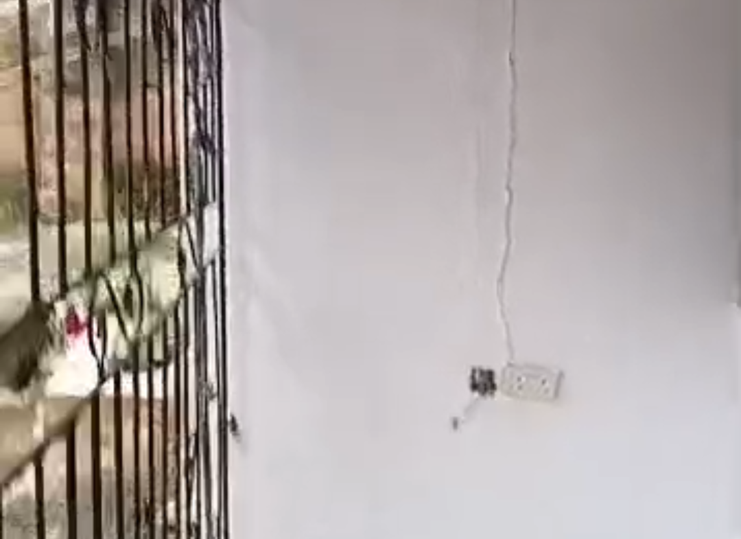 Sharp room self contained pop Rent for rent in Benin City